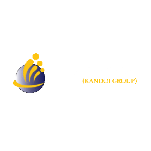 GEEKAY WIRES Share Price